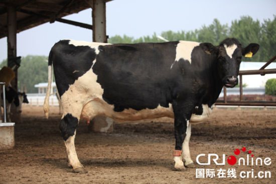 走進三元牛奶:打造全產(chǎn)業(yè)鏈監(jiān)管的放心奶