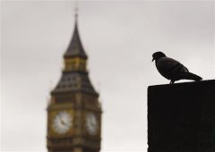 倫敦派鴿子攜帶空氣質(zhì)量檢測(cè)儀測(cè)空氣污染