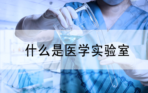 關(guān)注|CNAS發(fā)布《醫(yī)學(xué)實驗室質(zhì)量和能力認可準則的應(yīng)用要求》和《醫(yī)學(xué)實驗室..